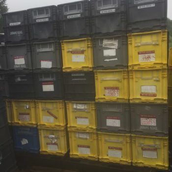HDPE Crates recycling