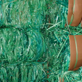 pet strapping recycling