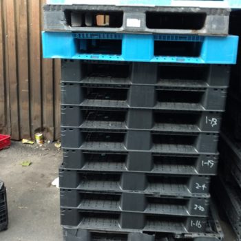 blue and black used plastic pallets
