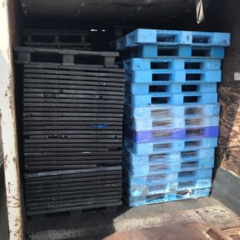 blue plastic pallets for recycling