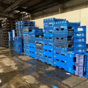 Ropak Bins