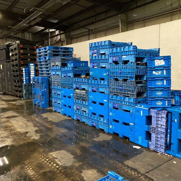 plastic bin recycling