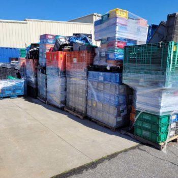 used plastic pallets