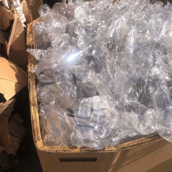 Clear PET Thermoform Trays Loose